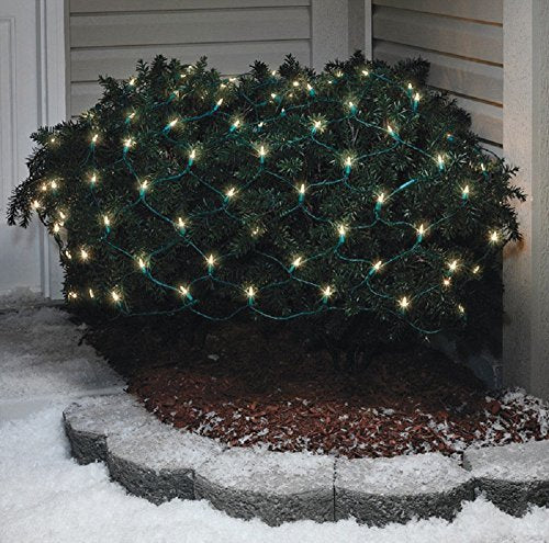 celebrations 282M4912 Mini LED Net Lights  100 Bulbs - clear