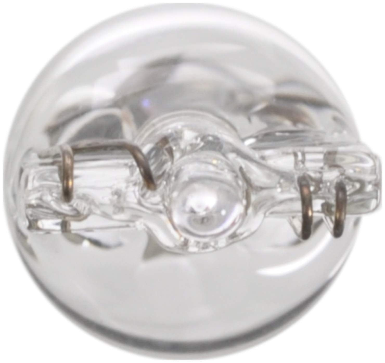 Wagner BP161 Multi-Purpose Light Bulb, Card of 2, Glass, Assorted Colors, One Size