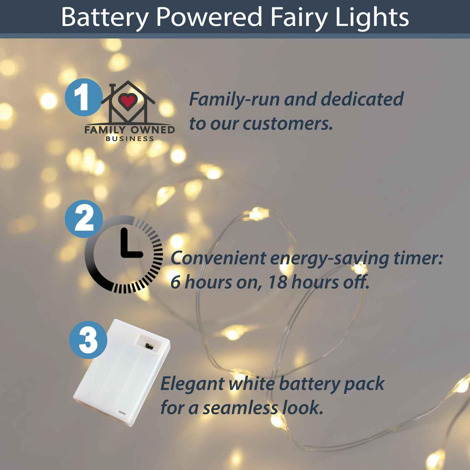QBIS Fairy Lights Battery Operated, 40 Micro LEDs, 6.5ft, Silver Wire, Warm White, 2 Pack, Model M40STR-BAT-WW-SL-2