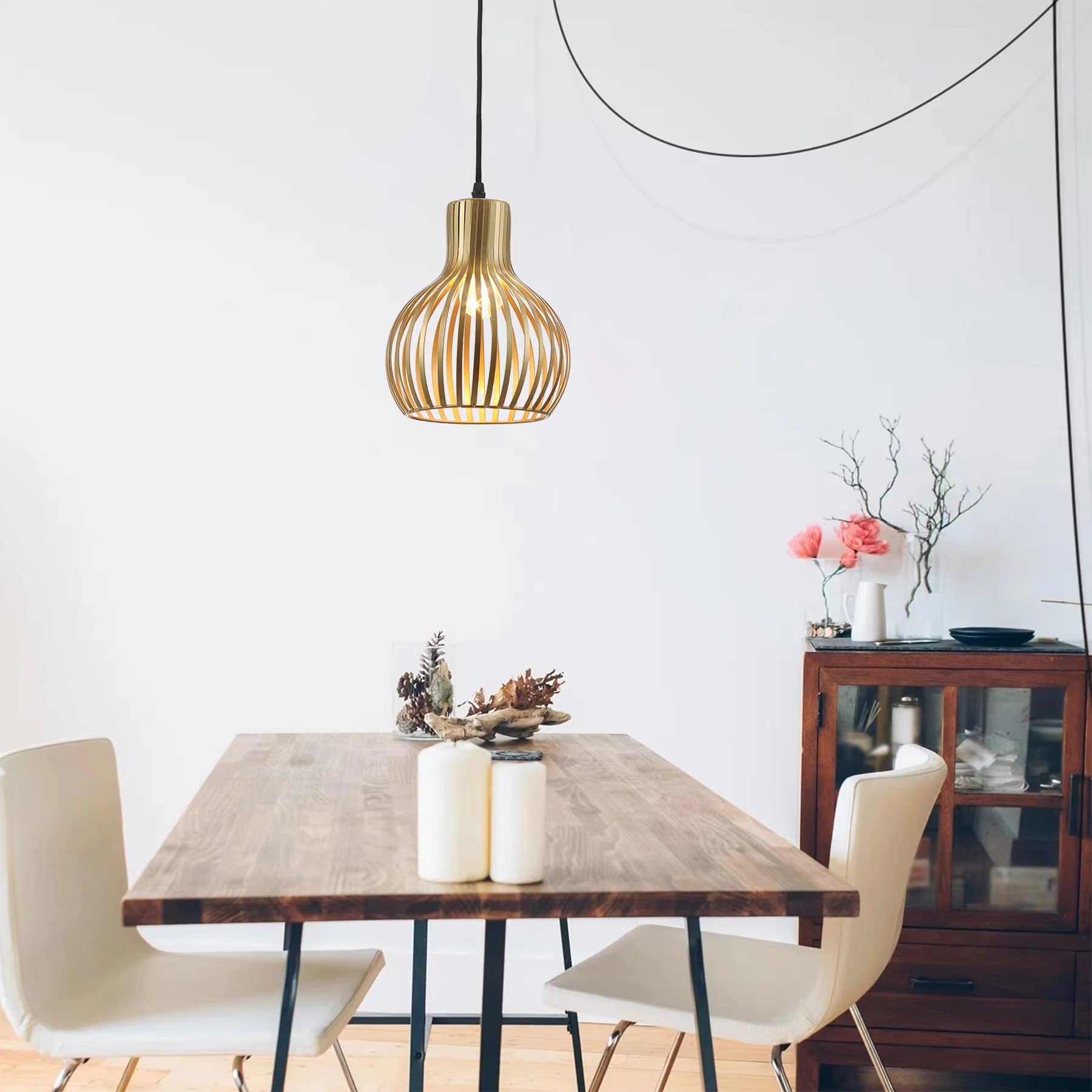 Riomasee Industrial Wire Cage Plug In Pendant Lighting Metal Hanging Light Fixture With 14.27 Ft Hanging Cord And On/Off Switch