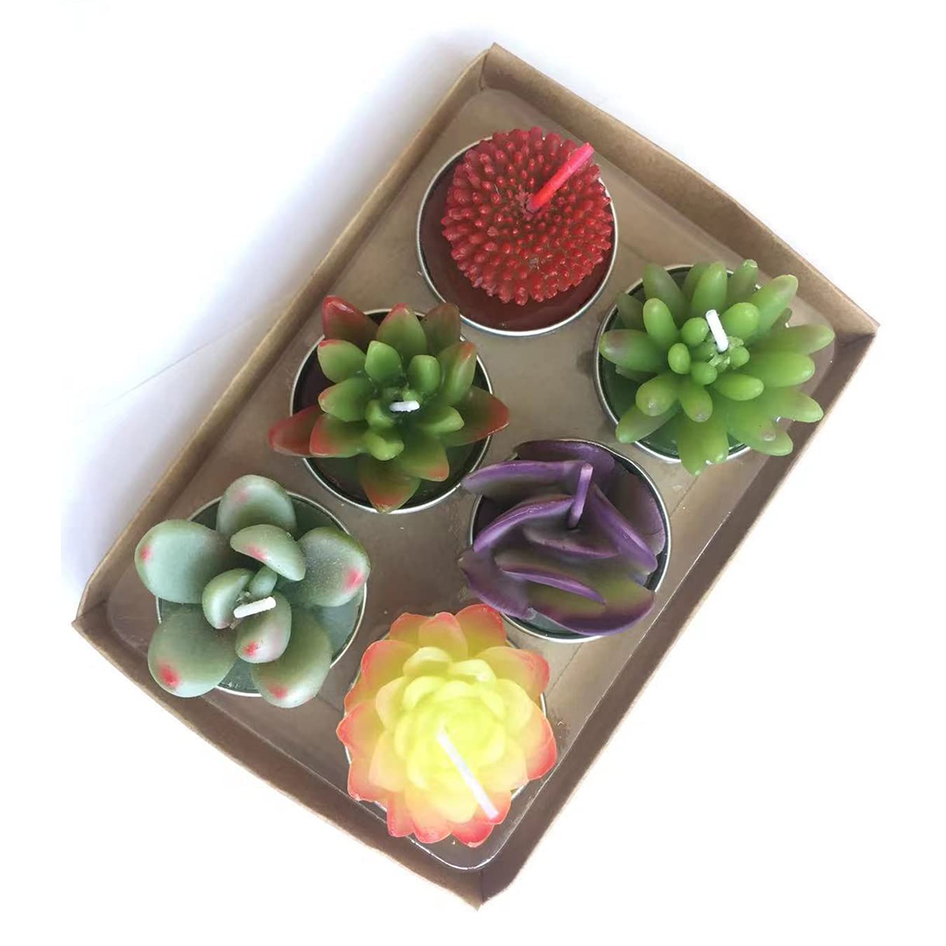 succulent tea lights Wangmingtu Succulent Cactus Tea Light Candles Unscented 6Pcs Assorted – Lightsdaddy