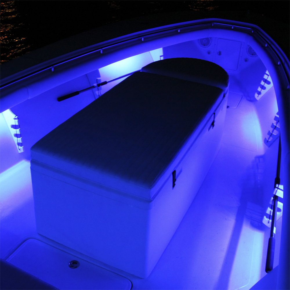 Lumitec 12-Inch Rail2 White/Blue Dimmable Output Light 101081