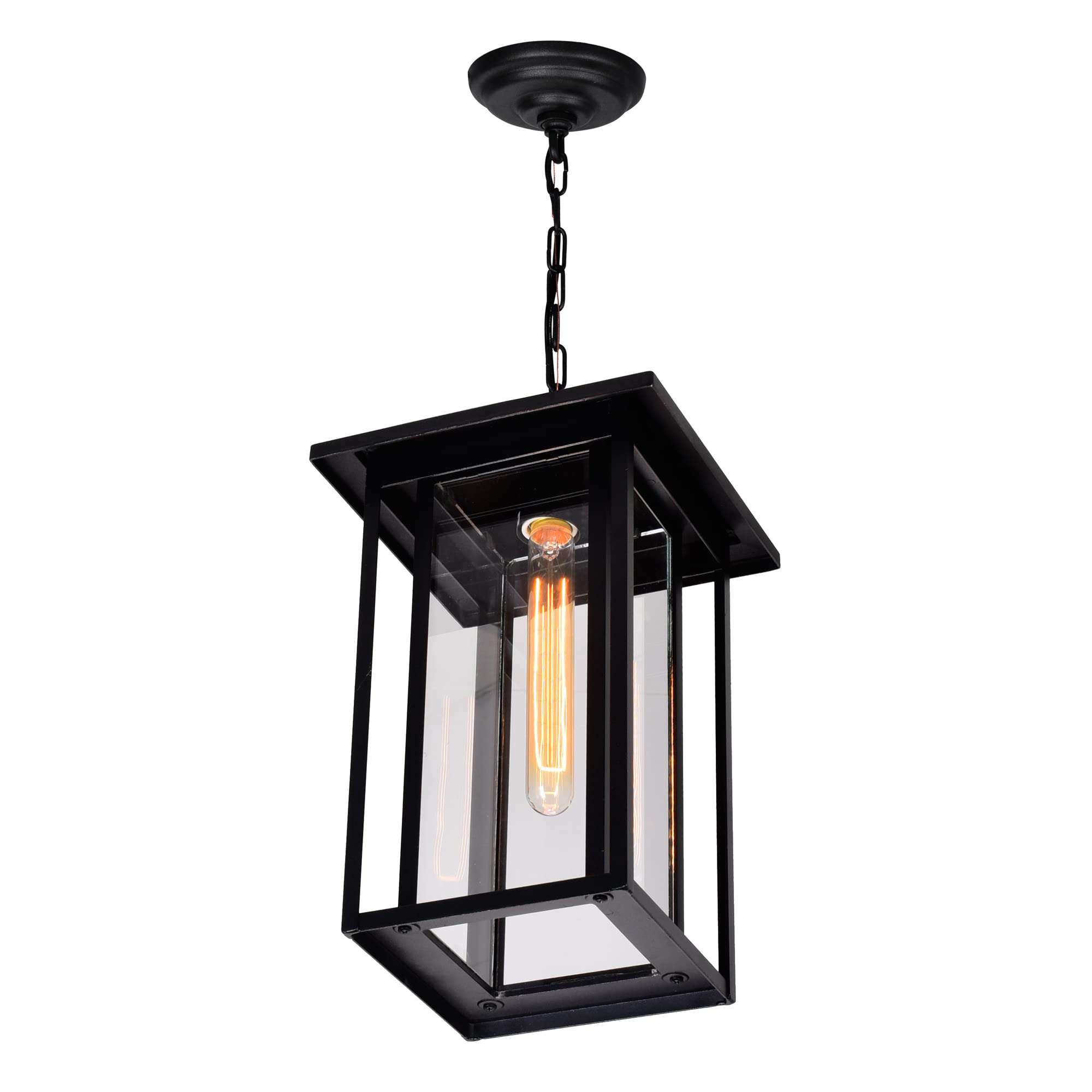 CWI Lighting Crawford 1 Light Farmhouse Metal Outdoor Hanging Light in Black