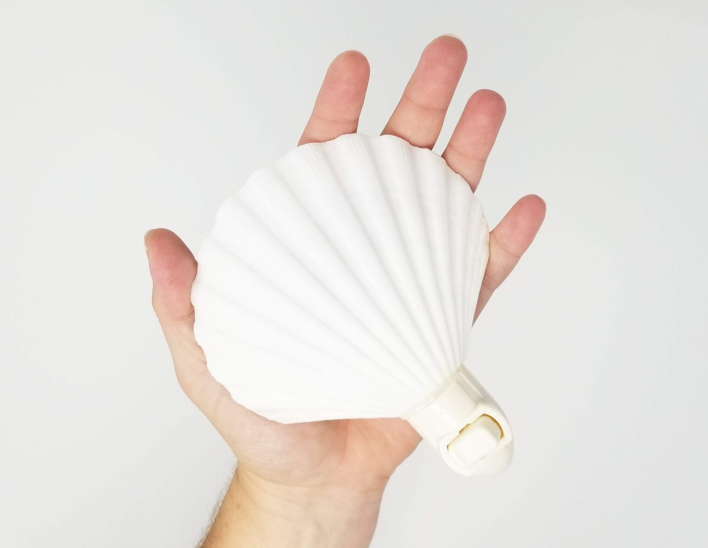 Tumbler Home Real Sea Shell Night Light, 1-Pack, Natural White Decor, Model 1shelllight