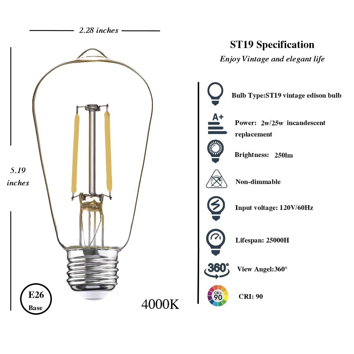winsaLED 12 Pack 25W LED Edison Bulbs, 4000K Cool White, E26 Base, 250LM, Non-Dimmable, Low Wattage for Ceiling Fixtures