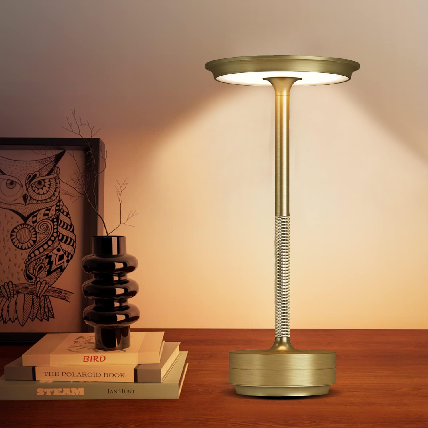 SJIE Cordless Table Lamp, Rechargeable LED Light, 3 Modes Dimming, 5x11 inches, Gold, Model JB-TD064, Portable for Outdoor/Dinner