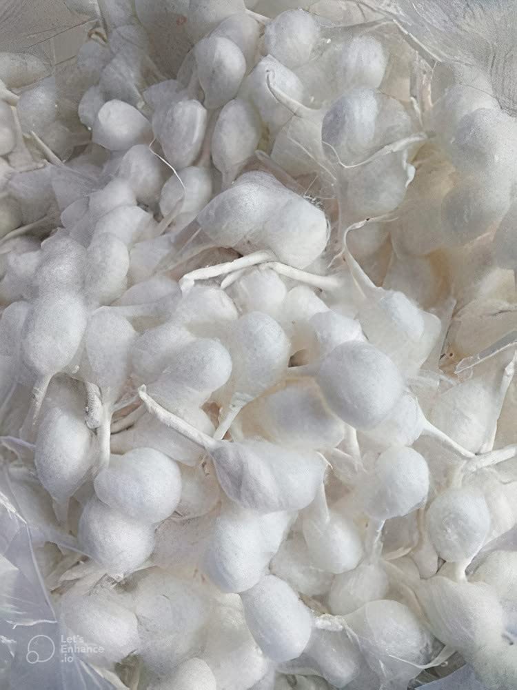 RK Trends Hand Made Phool Baati/White Cotton Phool Diya Batti (Wicks) / Diya Batti for Puja (Wicks) / Jot batti for Pooja/jyot b