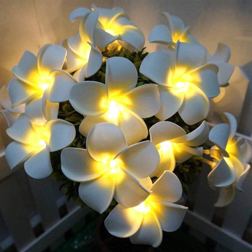 Fantasee Plumeria String Lights, Foam Artificial Plumeria Flower Led String Lights Battery Operated Fairy Lights for Indoor Bedr