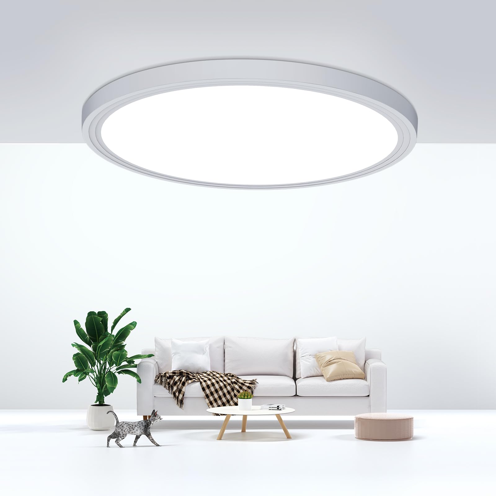DEALGADGETS Flush Mount Ceiling Light, 24W Ultra Thin Round LED Lamp, 6000K, 2200LM, 9-Inch, White, Model DJ-XDD-US