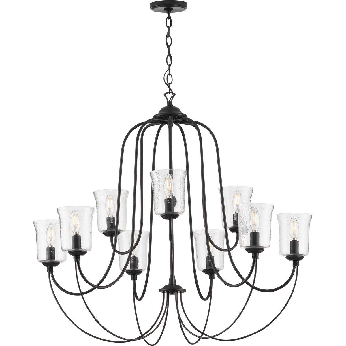 Progress Lighting Bowman Collection 9-Light Clear Chiseled Glass Coastal Chandelier Light Matte Black