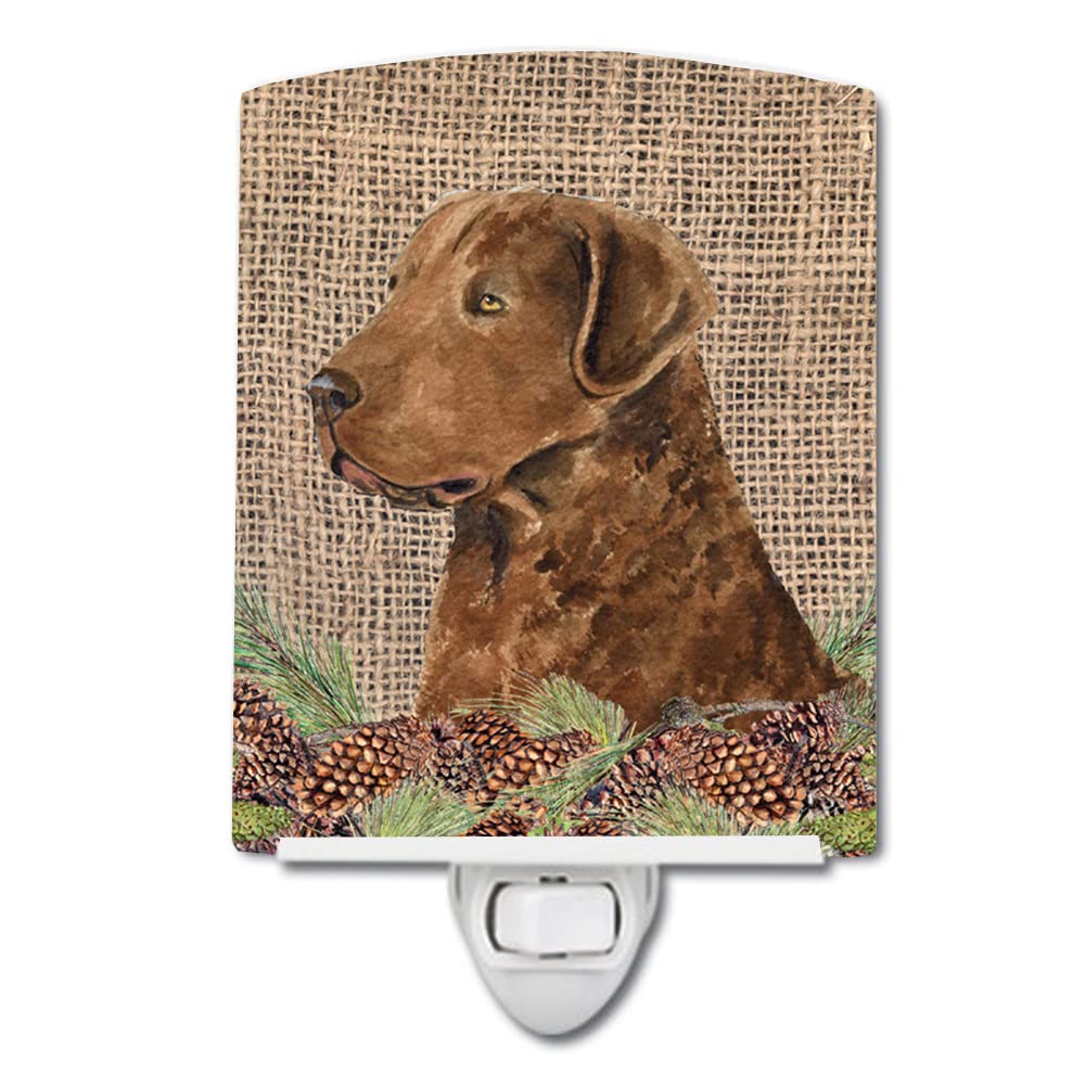 Carolines Treasures Ceramic Night Light, Curly Coated Retriever Design, UL-Certified, 6x4x3 inches, Ideal for Bedroom, Bathroom, Kitchen