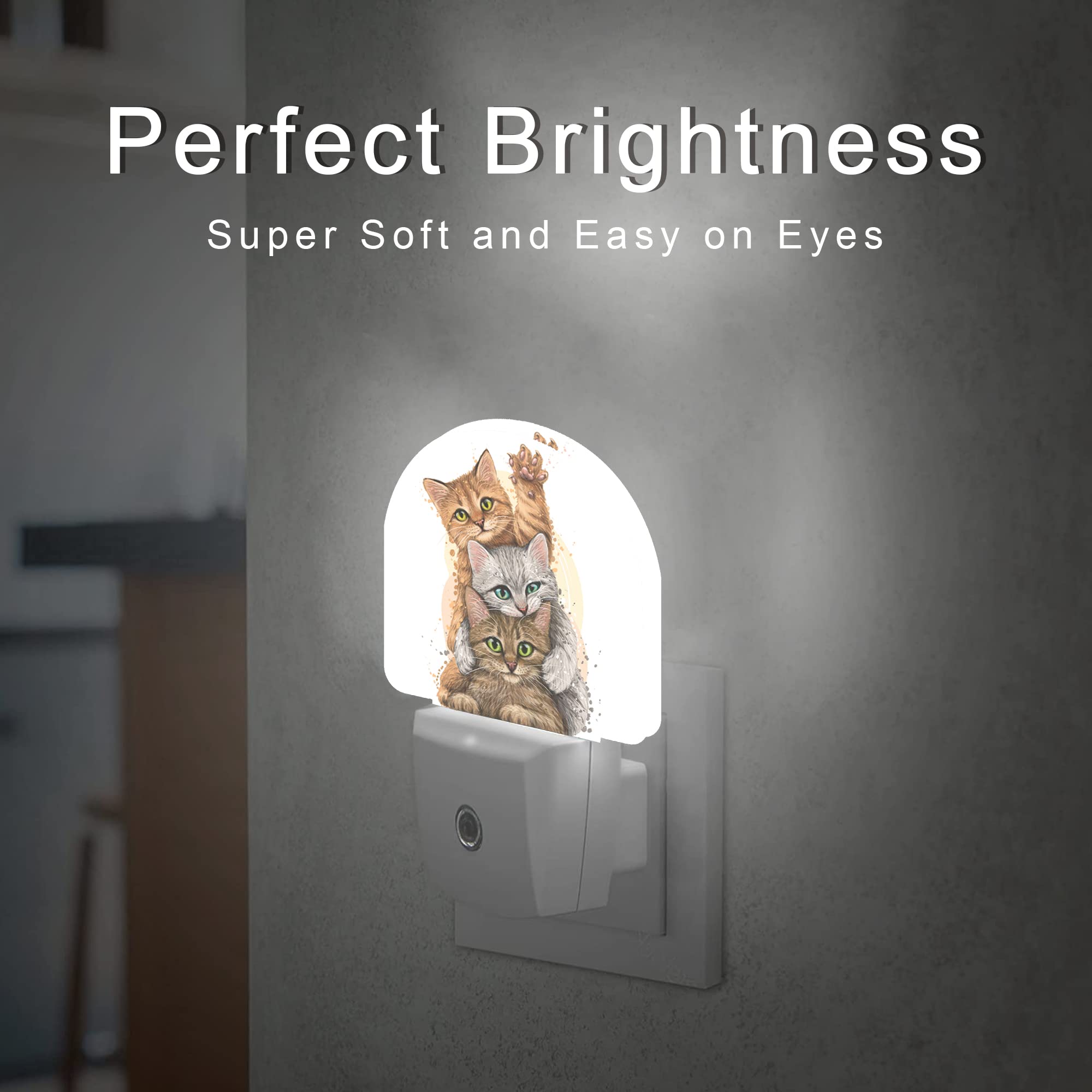 Aowula Funny Cats Night Light,Night Lights Plug Into Wall, Dusk To Dawn Sensor Led Lamp 0.5W For Boys/Girls/Women/Men Decoration