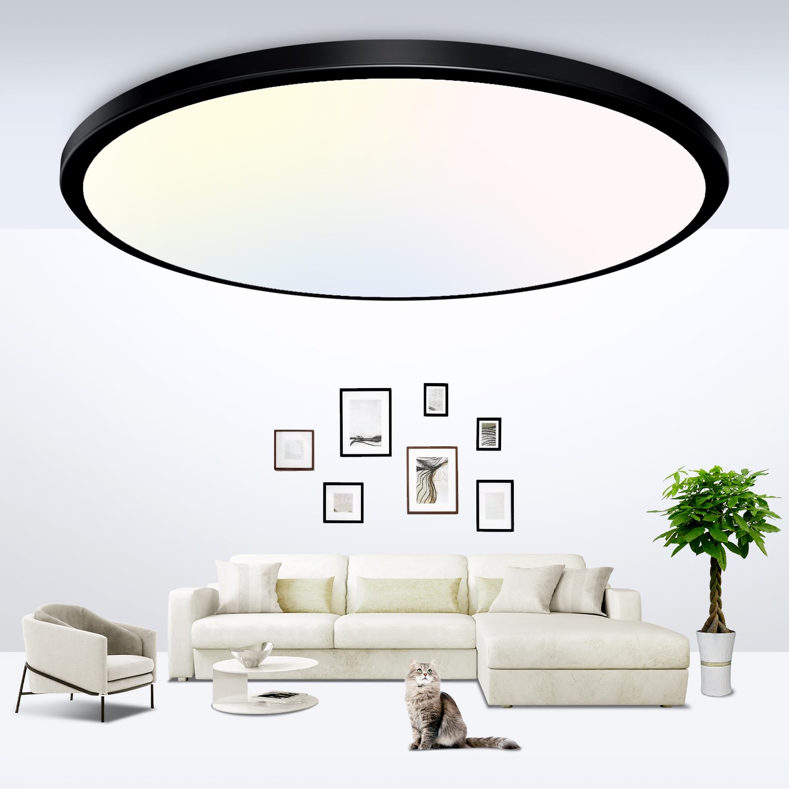 zemty Black LED Flush Mount Ceiling Light - 12 Inch 28W 3200lm LED Light Fixture, 3000k/4500k/6000K Selectable Round Flat Light 