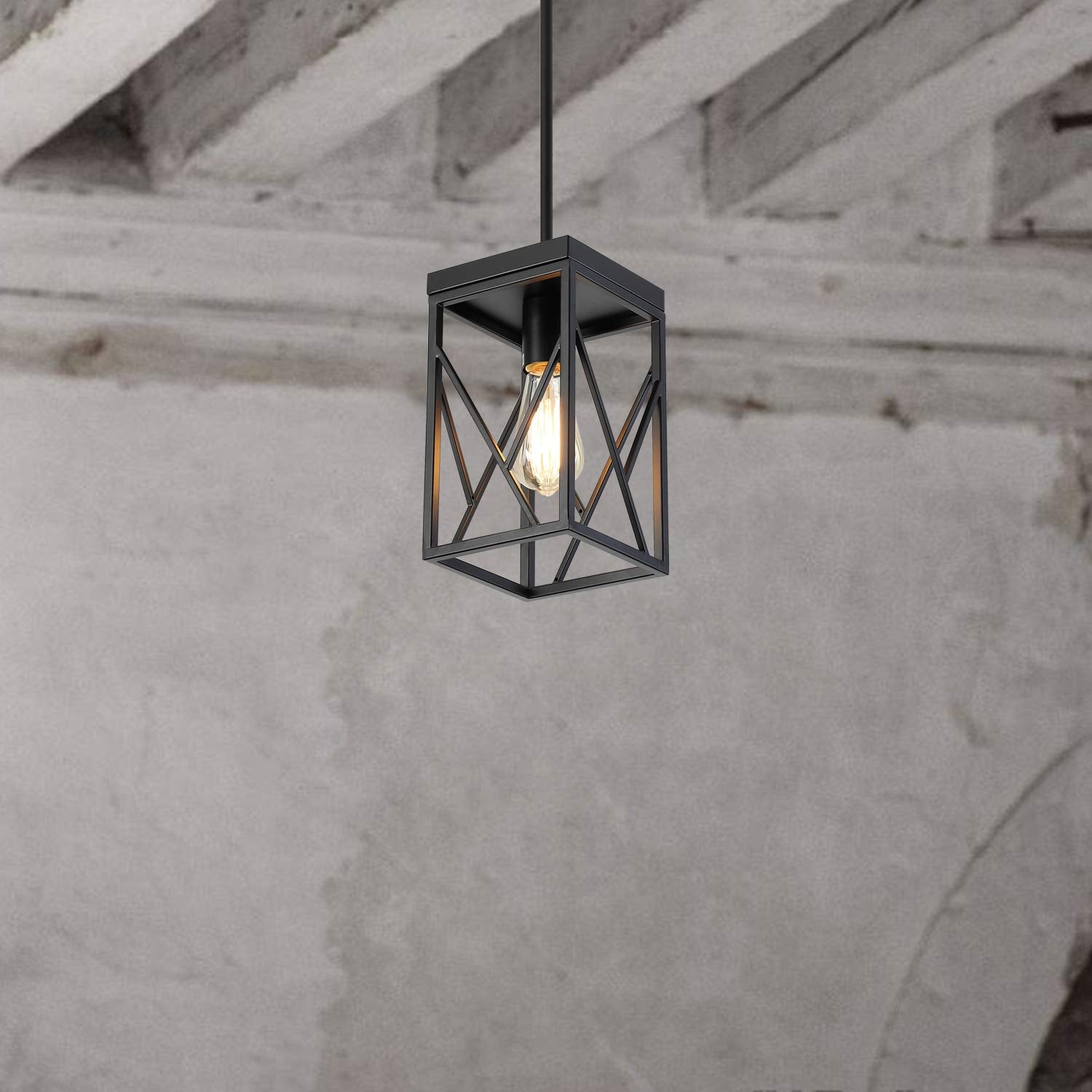 Fivess Lighting Modern Mini Pendant Light, One-Light Metal Cage Fixture, Adjustable Rods, Black, Model CA5201-2