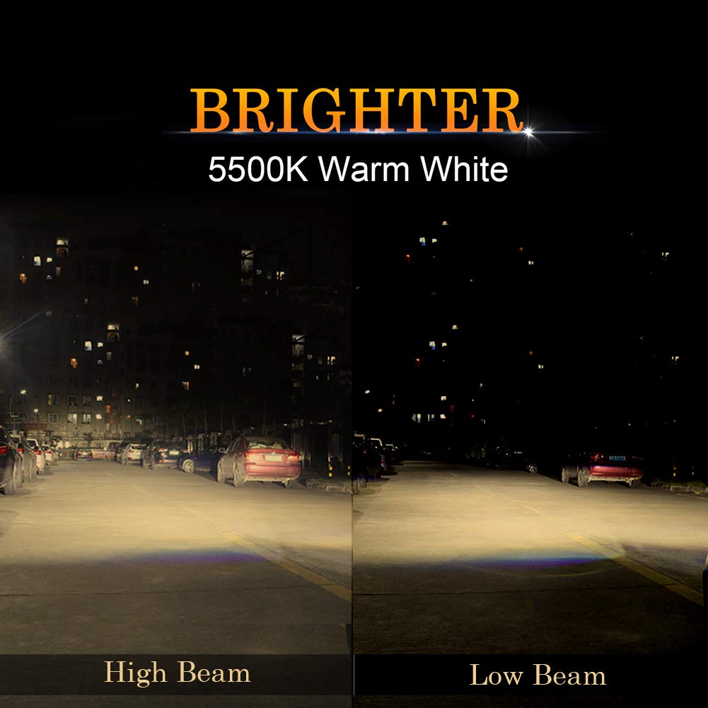 DZG H8 Halogen Headlight Bulbs 35W PGJ19-1 5500K Warm White, High Low Beam, Pack of 2, H8 Size, Blue Color