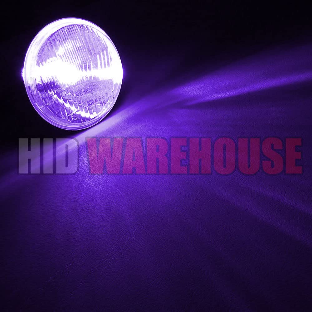 HID-Warehouse HID Xenon Replacement Bulbs H4/9003 12000K Purple (1 Pair)