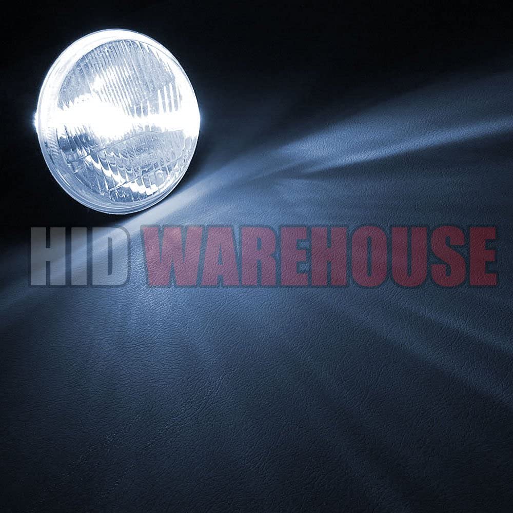 HID-Warehouse HID Xenon Replacement Bulbs - D4S/D4R/D4C - 8000K Medium Blue - 1 Pair