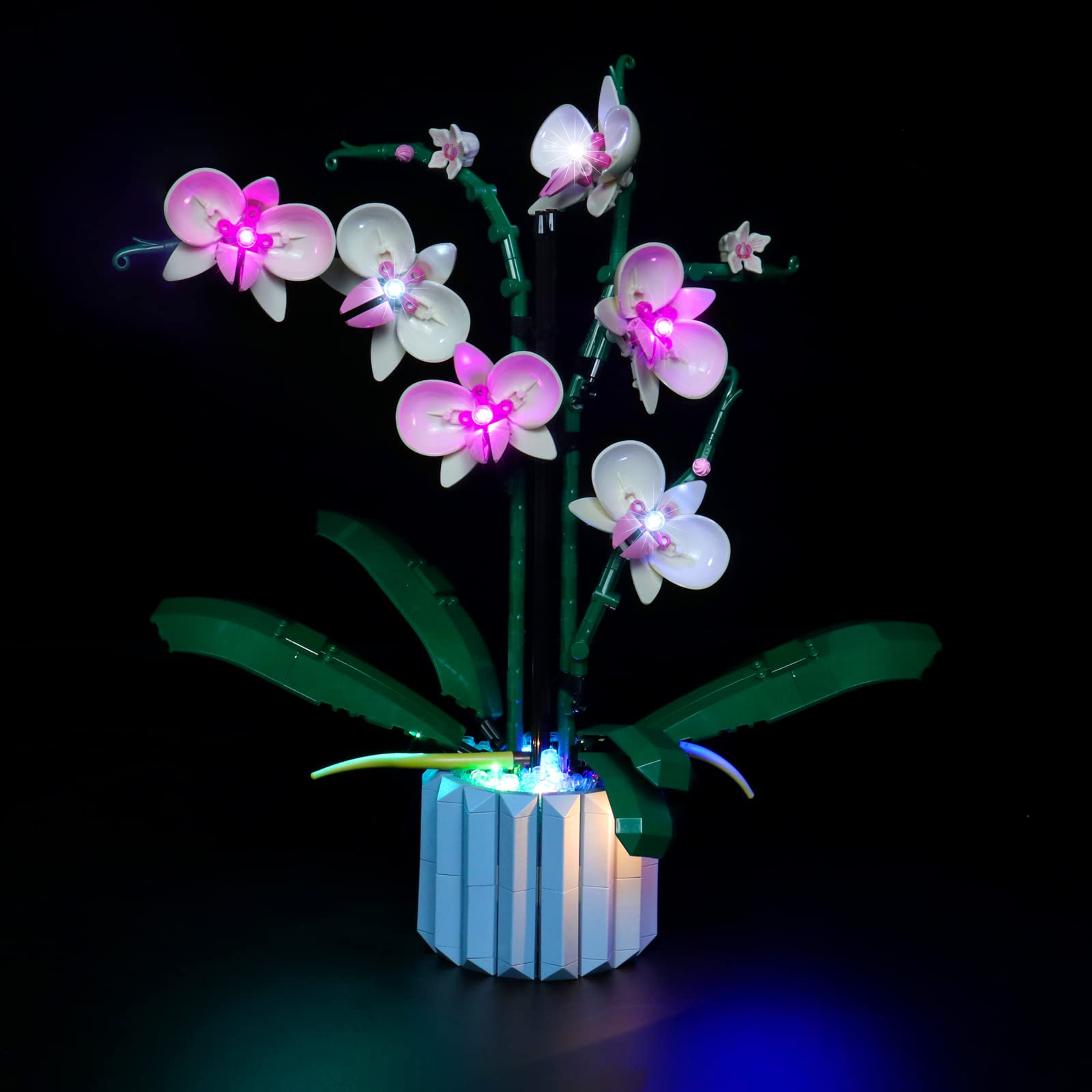 Led Light Kit For Lego Orchid 10311 Plant Decor Building Set; Decoration Lights Build A Succulents Display Piece For The Home Or