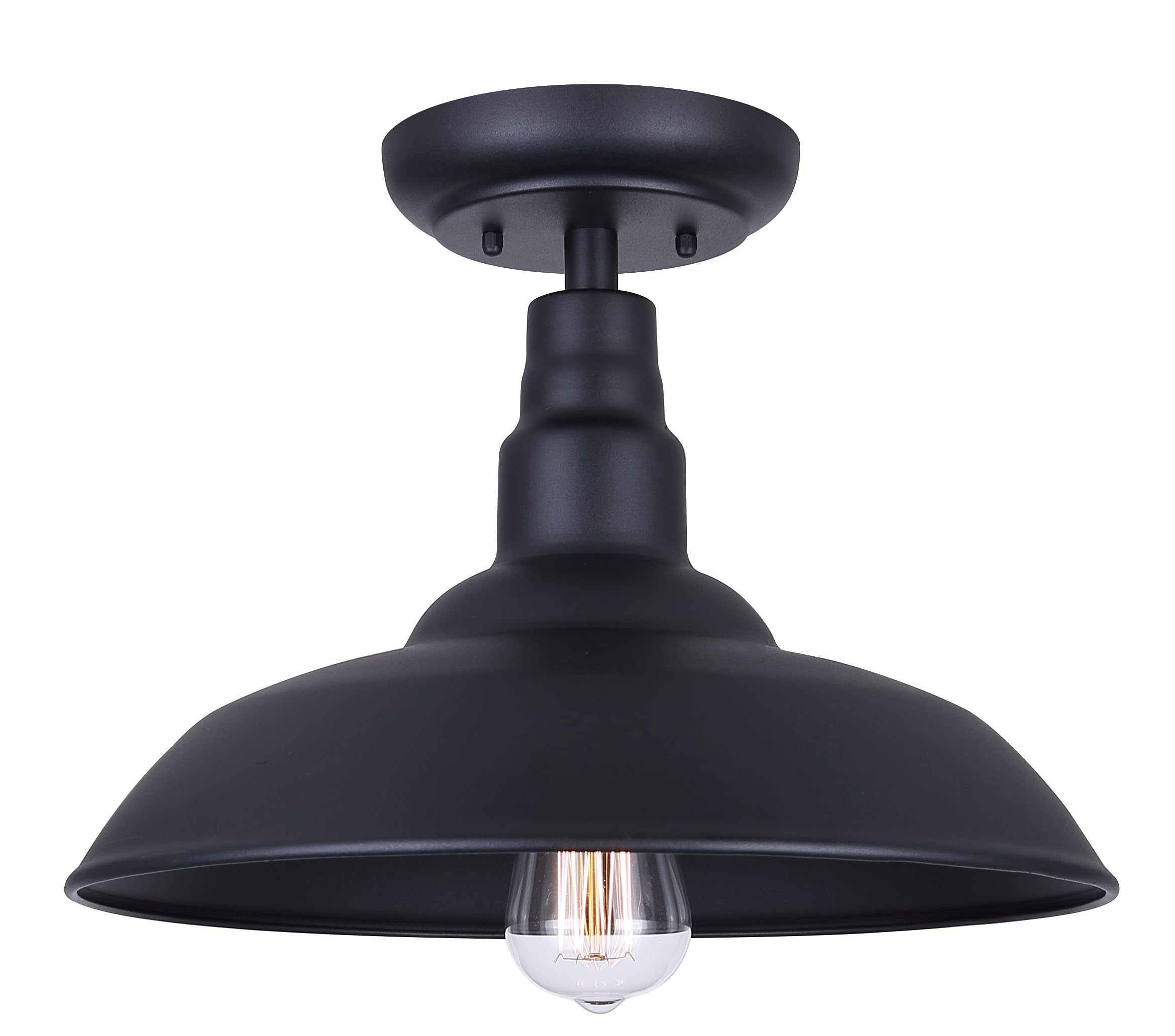 Canarm Valec Type A 100W Black Outdoor Ceiling Light Fixture - 1 Each