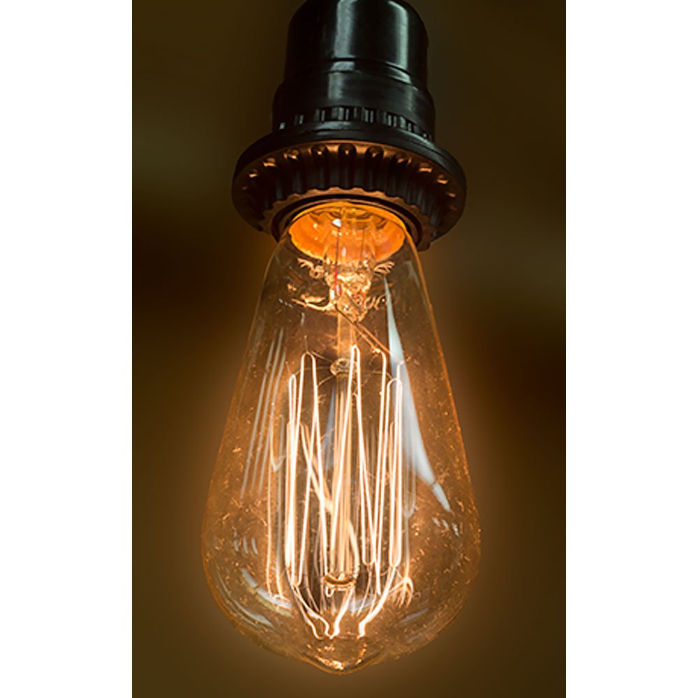 CWI Gifts 40W Primitive Edison Light Bulb with Squirrel Cage Filament, 2.28 x 2.28 x 5.12