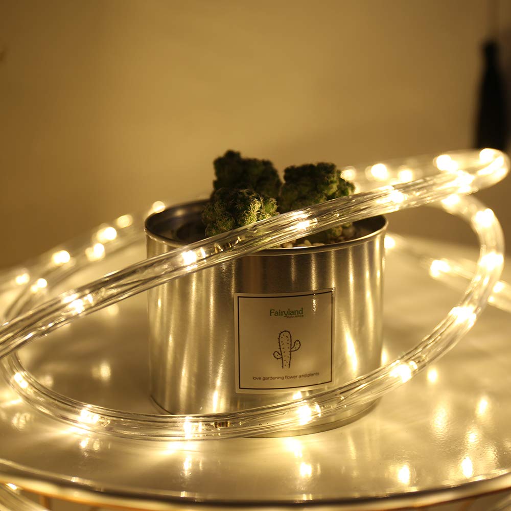 Huizhen Indoor Outdoor Rope Lights,110V 100Ft Connectable Led Rope Lights Outdoor Waterproof Kit For Party,Wedding,Background,Trees,Pool,Eaves Decoration With Ul Certified(Warm White)