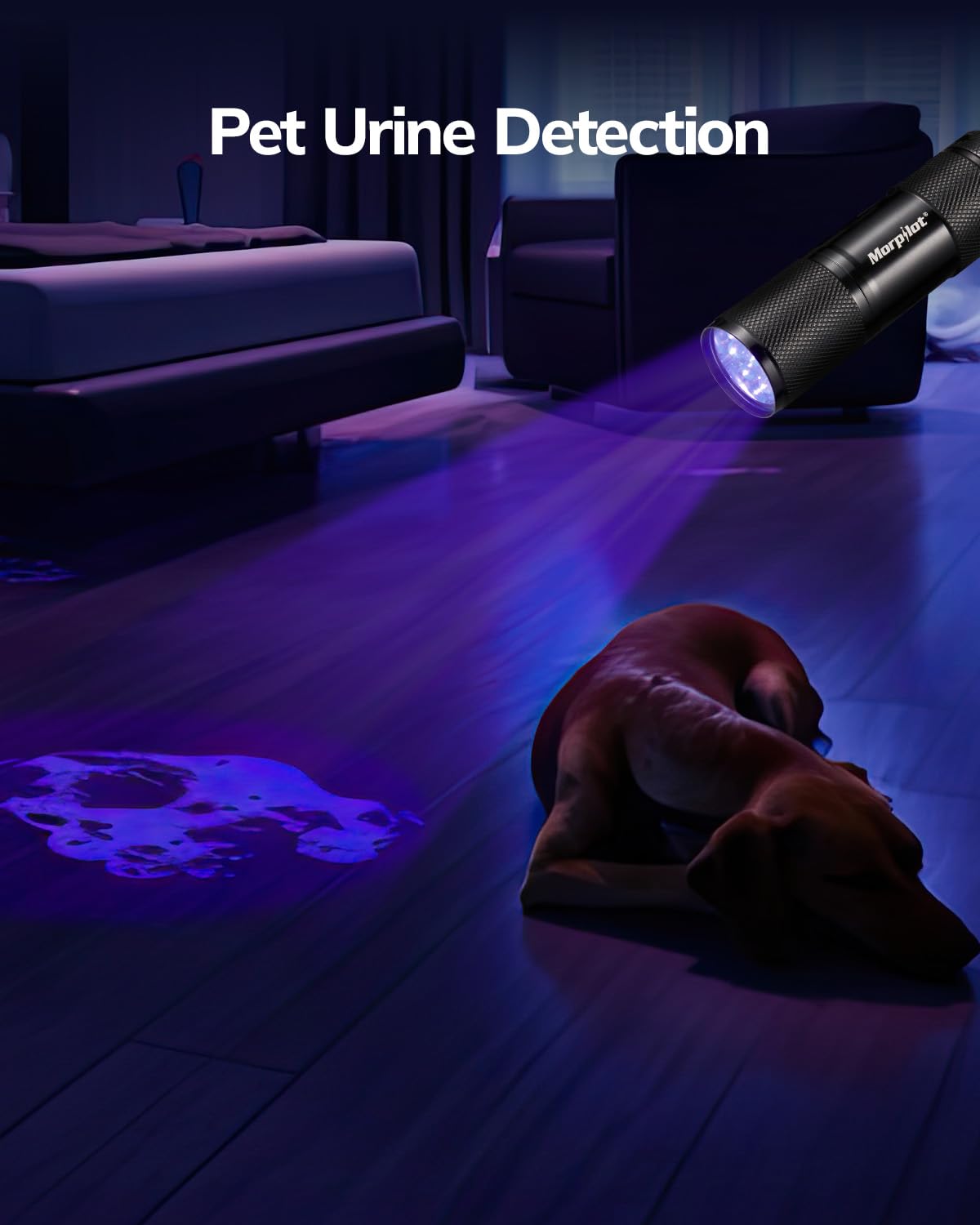 Morpilot Mini UV Flashlight 9 LED 395nm Blacklight Detector for Pet Urine, Dry Stains, Bed Bugs, Aluminum, 1 Pack, Black