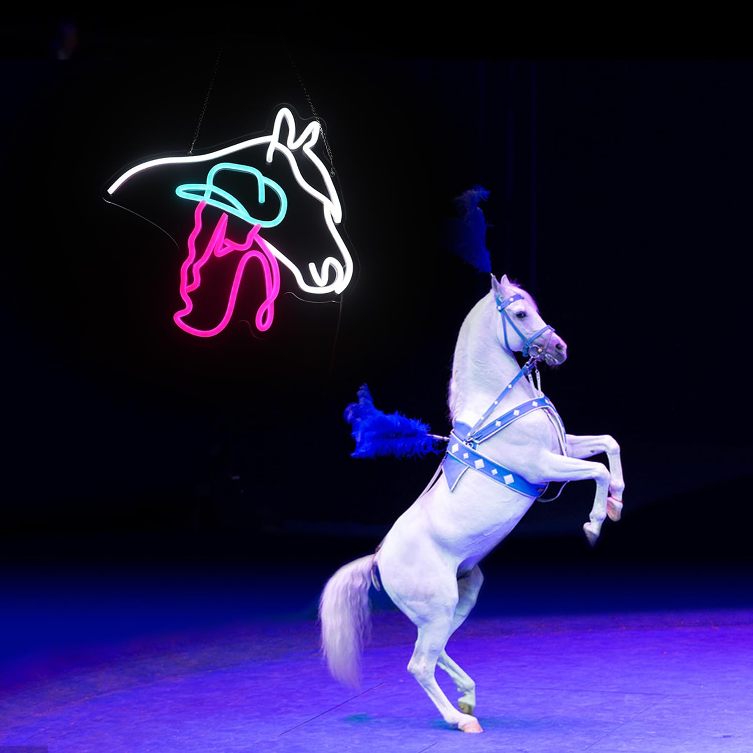 QiaoFei Neon Sign, Horse Cowgirl Led Light, Acrylic, 12.99inx13.39in, White-Ice Blue-Pink
