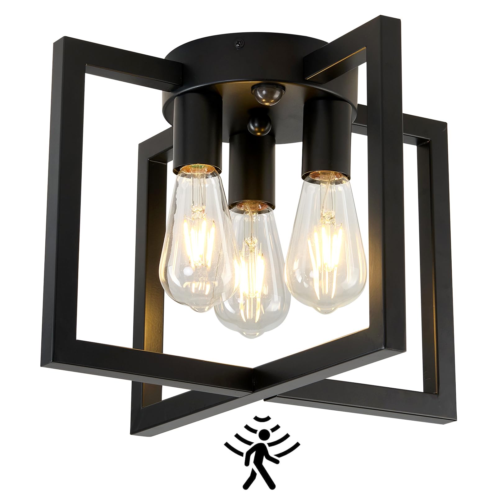 ZGLAOJT Motion Sensor Ceiling Light Fixture 3-Lights Black Industrial F-1424 Iron Chandelier for Kitchen Living Room Bedroom