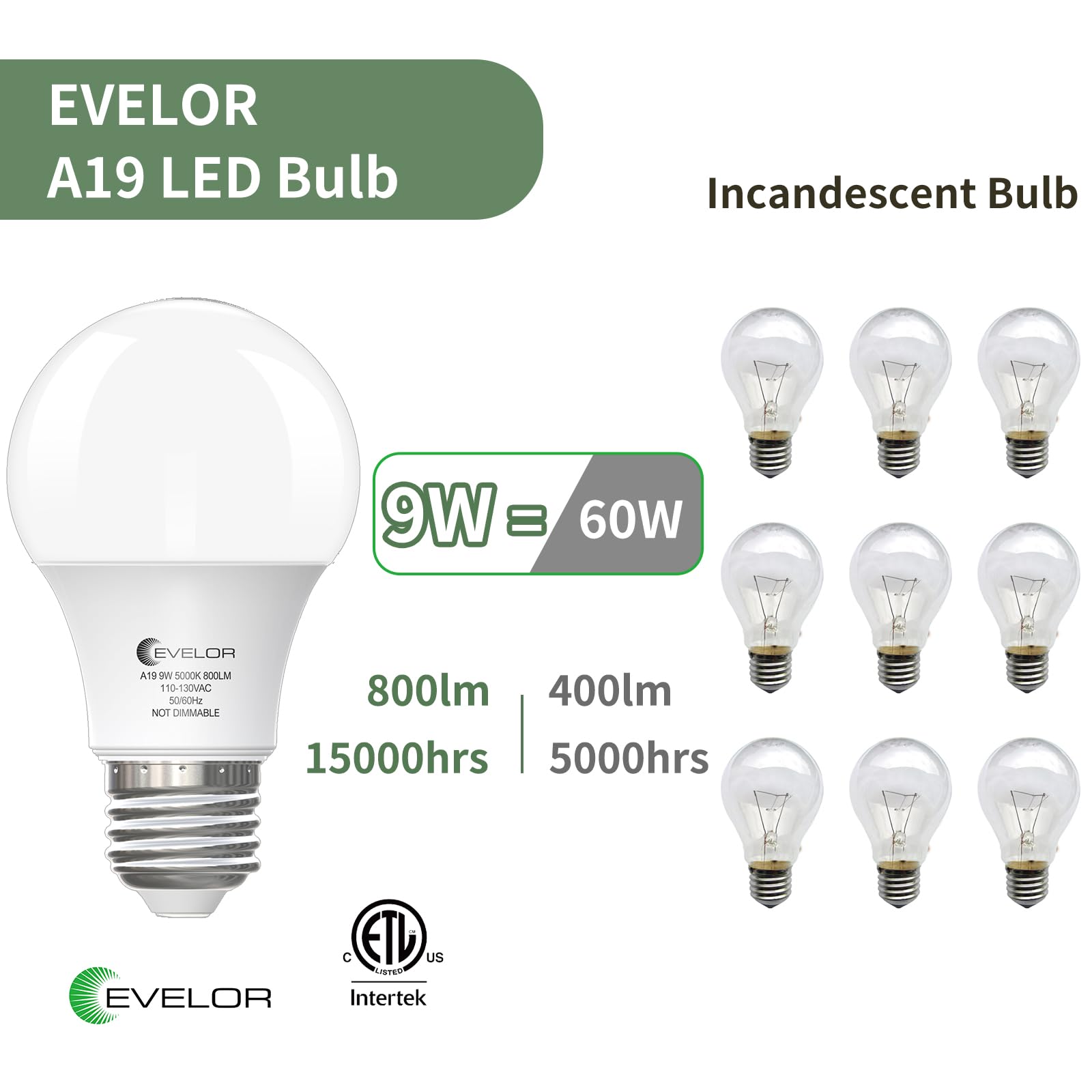 Evelor 6 Pack A19 Led Light Bulbs,60 Watt Equivalent Daylight 5000K With E26 Base,Efficient 9W,800 Lumens Non-Dimmable Led Bulbs