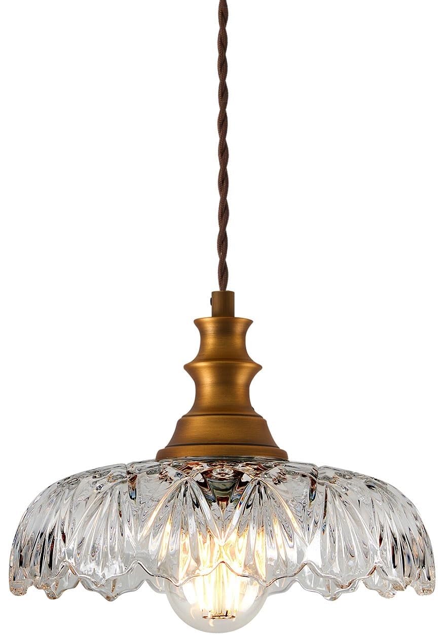 Battery Operated Pendant Light With CR2025 Remote,Rechargeable Ceiling Light Fixture With 9 Colors Dimmable Bulb,No Wiring Insta