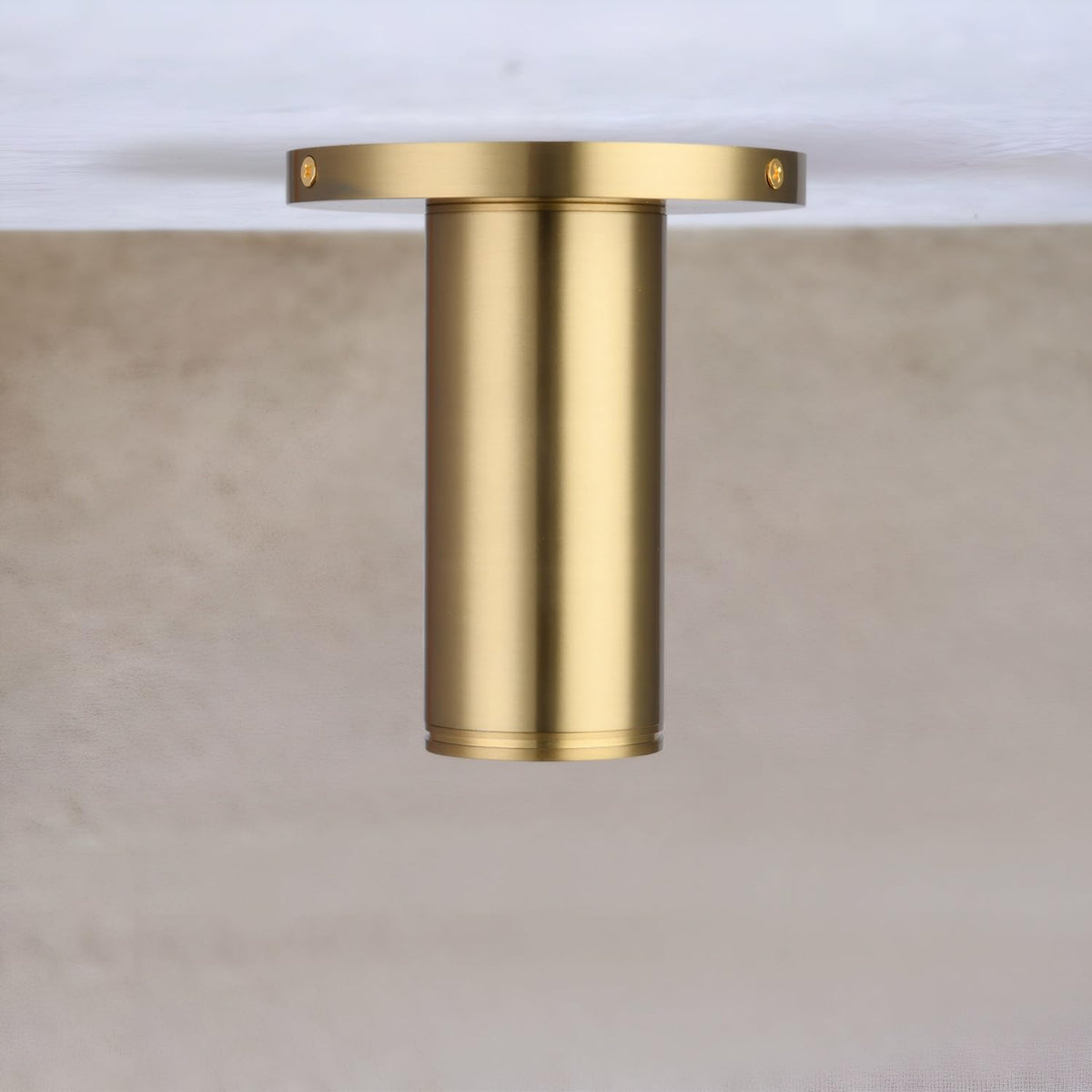 Pirxxiy Brass Cylinder Ceiling Light Fixture, Flush Mount Led Dimmable Spot Light, Living Room Hallway Kitchen Dining Room Foyer