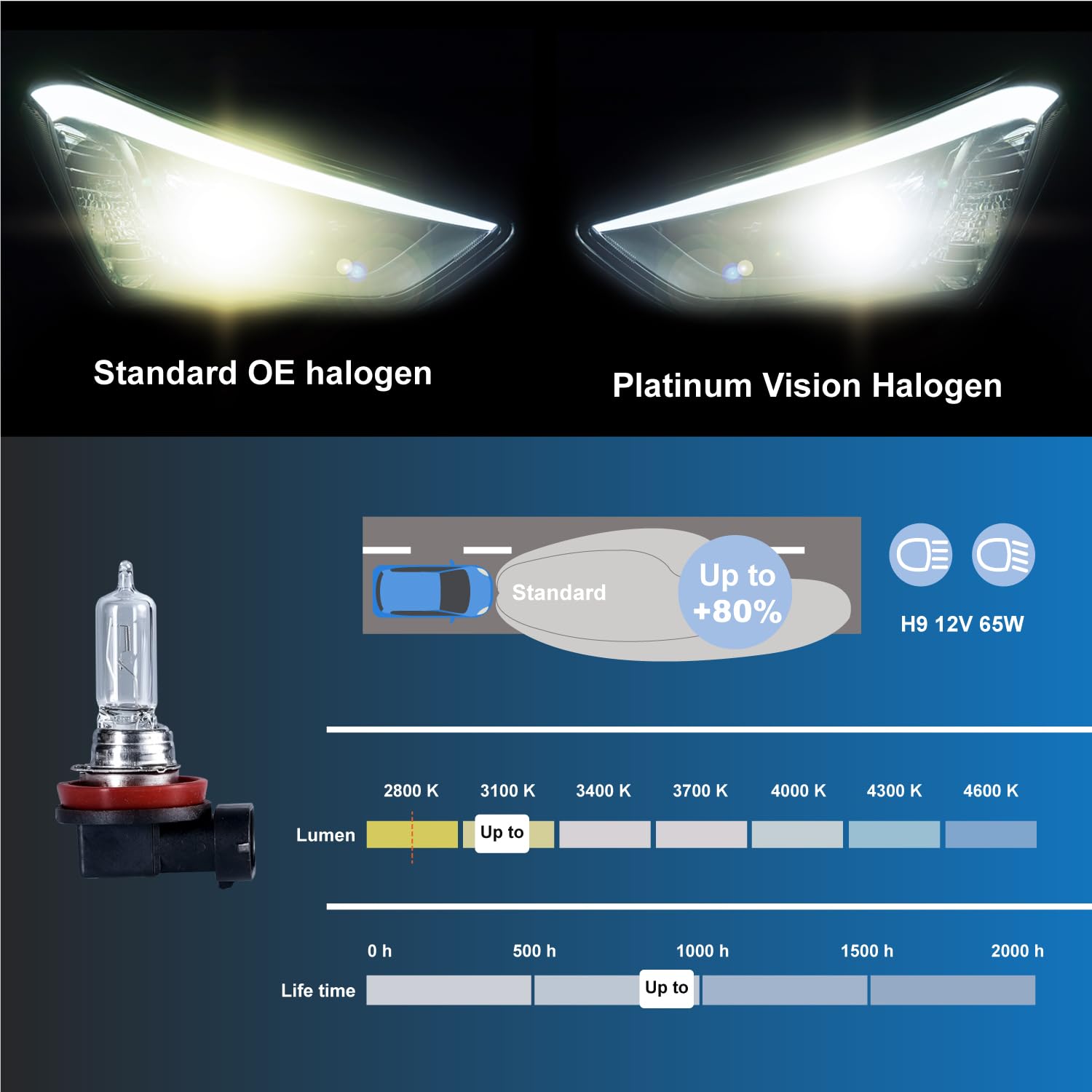 Gentle King H9 Halogen Headlight Bulb, 55W, DOT Compliant, Low & High Beam, 2 Pack