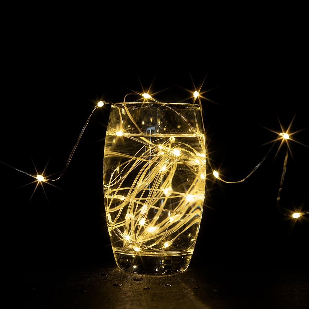 ZELUXDOT Fairy Lights, 200FT 600LEDs, Waterproof, Warm White, Silver Copper Wire, Model DS-SL-600-CTR, Remote Twinkle Light