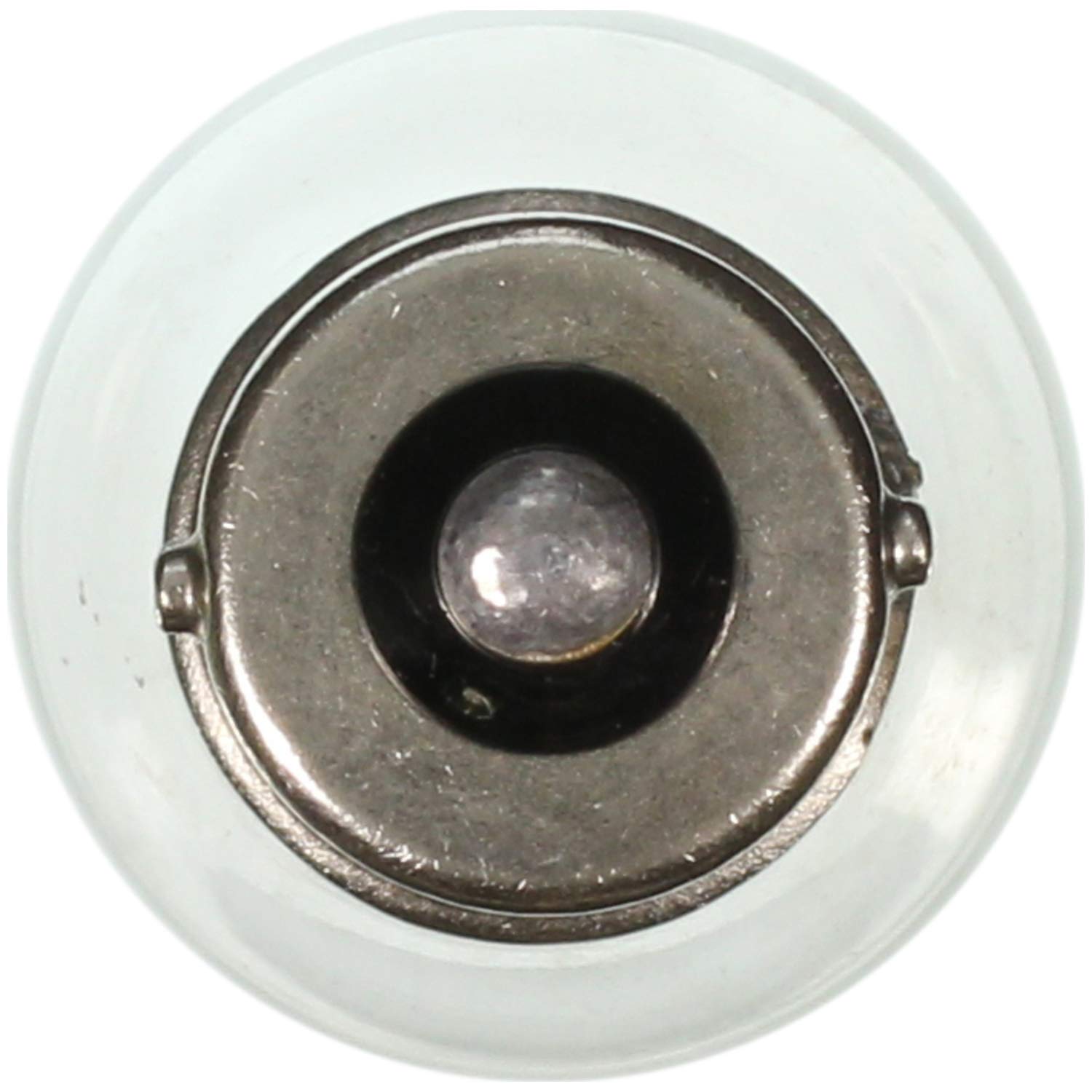 Wagner Lighting 199 Standard Multi-Purpose Light Bulb Box Of 10