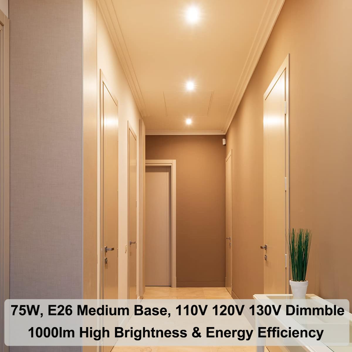 Vinaco Par30 Long Neck 75W, 6 Pack Long Lasting Par30 Halogen Flood Light Warm White 2800K, Par30 Dimmable, High Output Par30 Fl