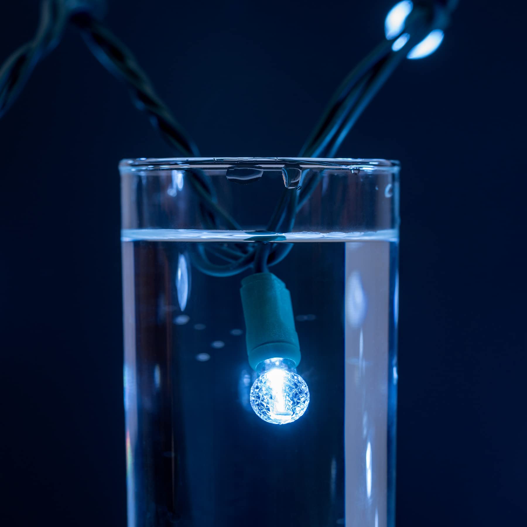 Yuletime Cool White One-Piece G12 Led Christmas Lights, Total 48 Feet 140 Count 2 Strands 24Ft 70Ct Waterproof Raspberry String