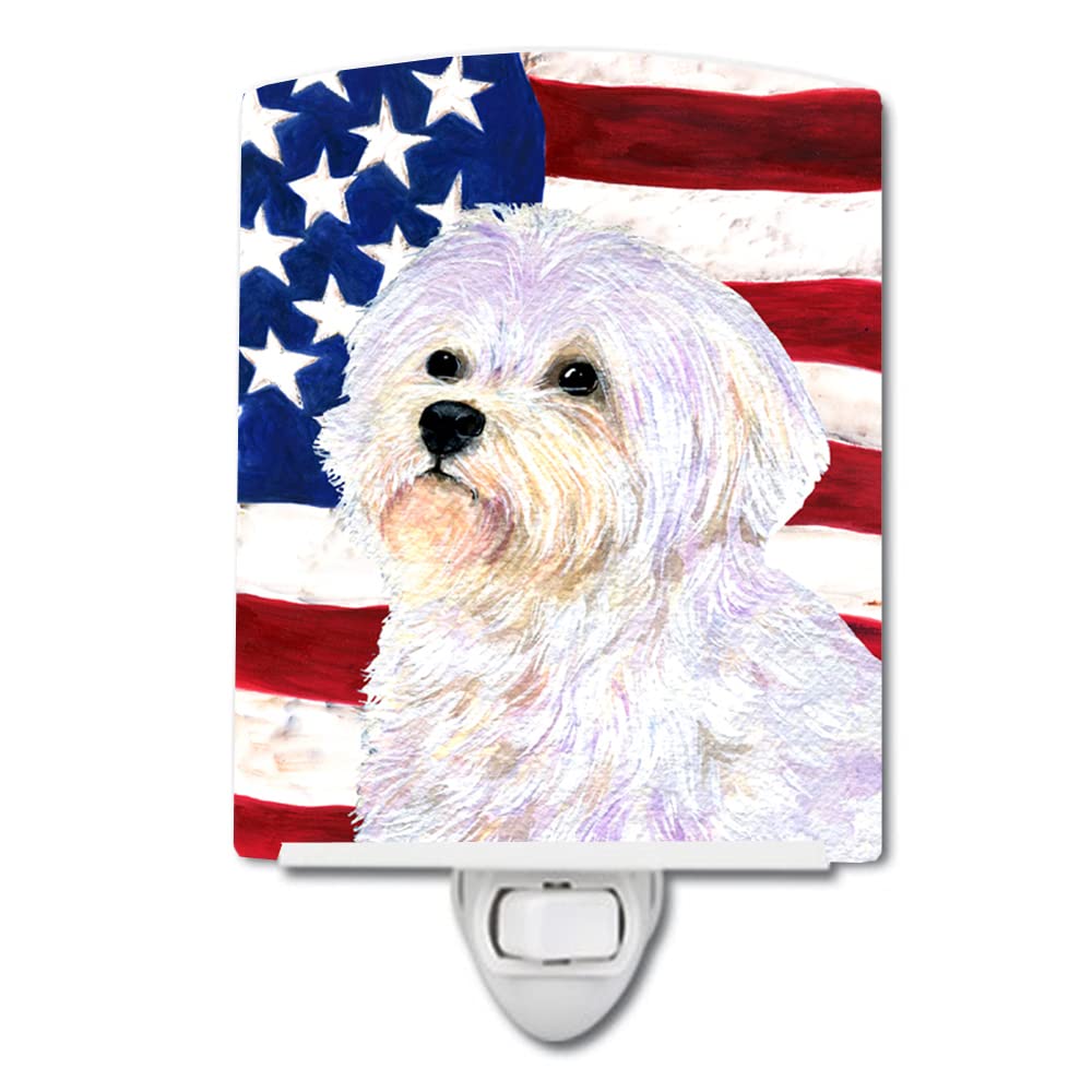 Carolines Treasures Night Light, Ceramic, USA American Flag, Model SS4043CNL, 6x4x3in, Multicolor