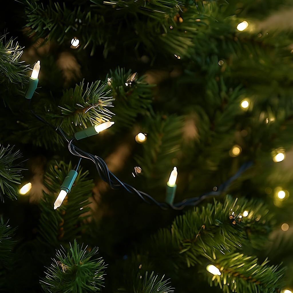 Novelty Lights 50 Feet 100 Bulbs Traditional Incandescent Mini Lights, Frosted On Green Wire With 6 Spacing, Commercial Grade An