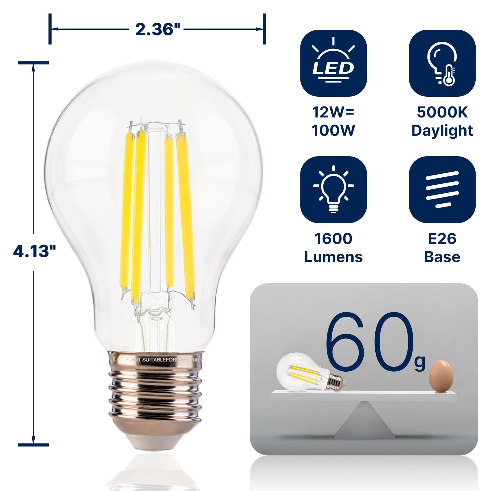 FLSNT A19 LED Light Bulbs, 100W Equivalent, 12W, 1600 Lumens, 5000K Daylight, Clear Glass, Dimmable, 4