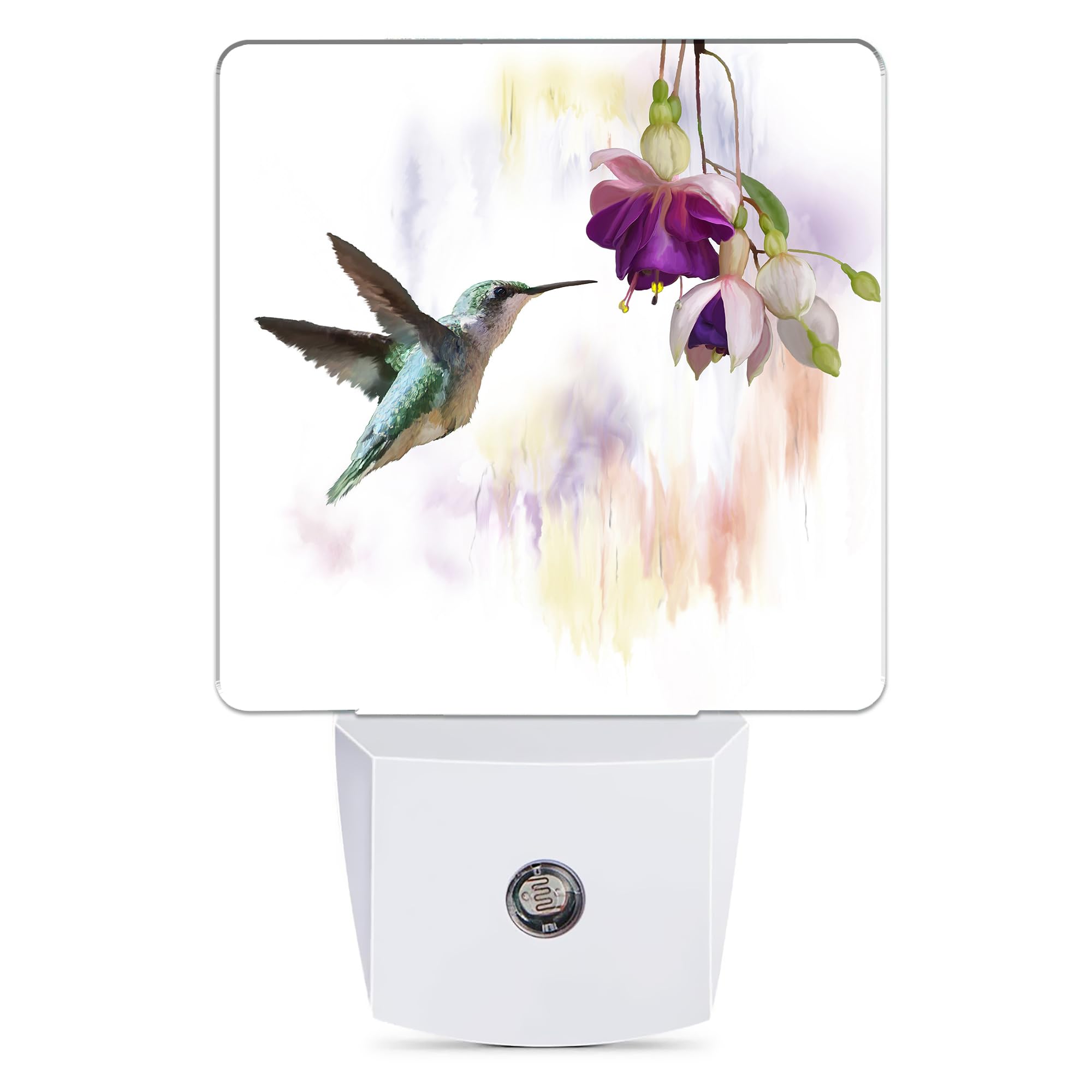 Jopowide Groovy Hummingbird Flowers Dusk To Dawn Night Light, Auto Sensor Lamp Home Indoor Stairway Kitchen Corridor, Night Lights Plug Into Wall Decor, Boys Girls Women Men Room Gifts