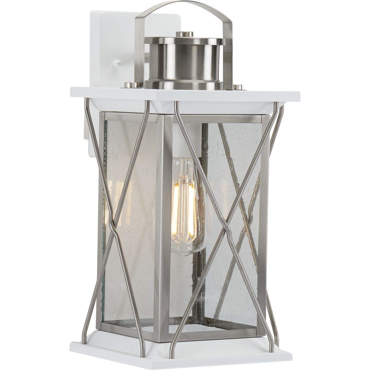 Progress Lighting Barlowe 1-Light Outdoor Wall Lantern, Stainless Steel, Clear Seeded Glass, Gray, Model P560157-135
