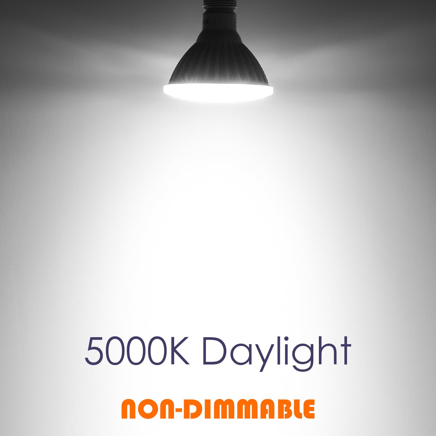 Maelsrlg PAR38 LED Flood Light Bulbs, 300W Equivalent, 35W 4000LM, Daylight 5000K, Waterproof, Non-Dimmable, 2