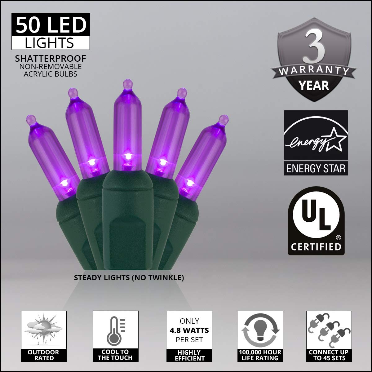 Wintergreen Lighting LED Mini String Lights, 50 Purple Lights, 25.5 ft Green Wire, Indoor/Outdoor, Model IOS-2-25-2