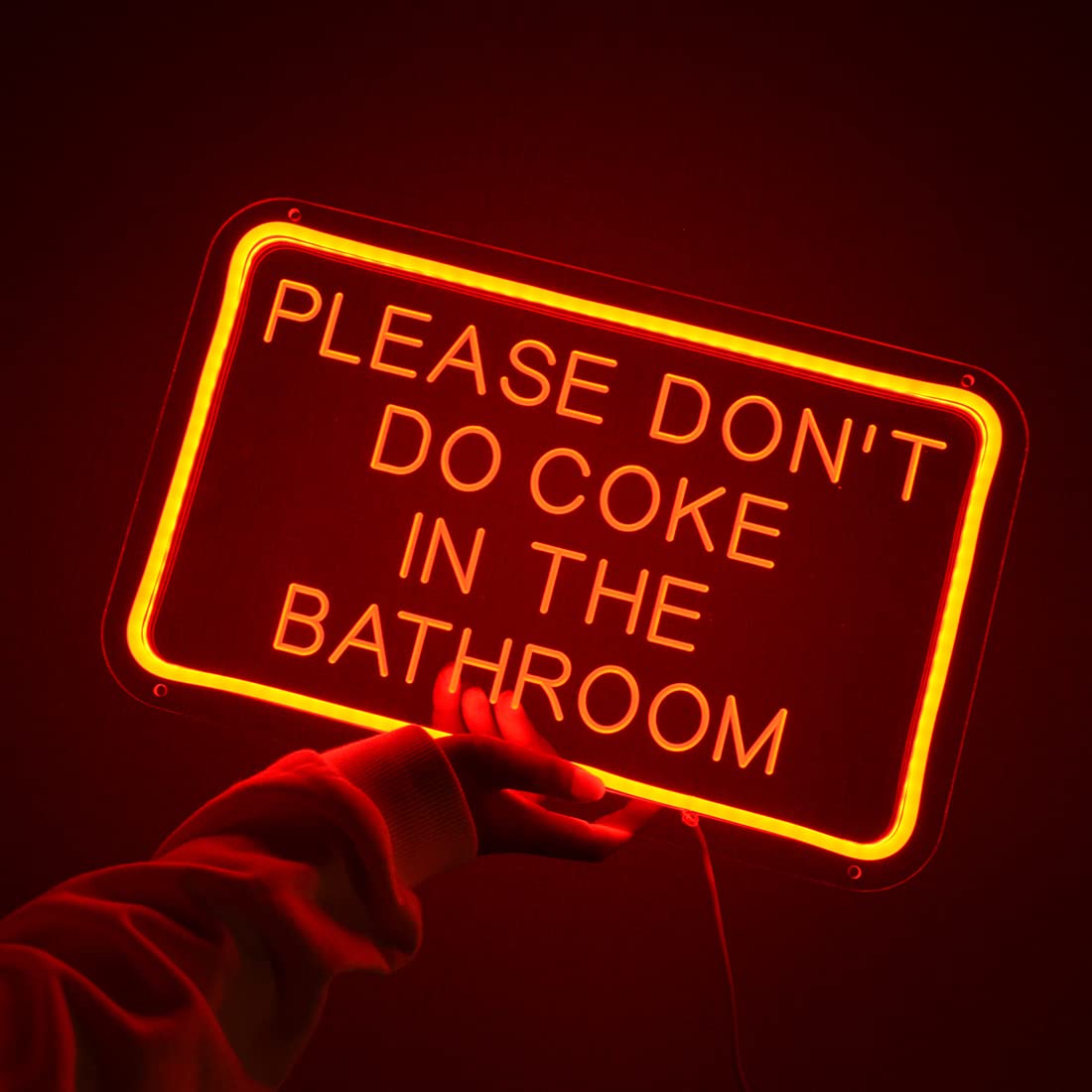 Planzo Red LED Neon Sign, USB Powered, 15.75in x 9.84in, Indoor Wall Decor, Model PL5VPleasedontRed
