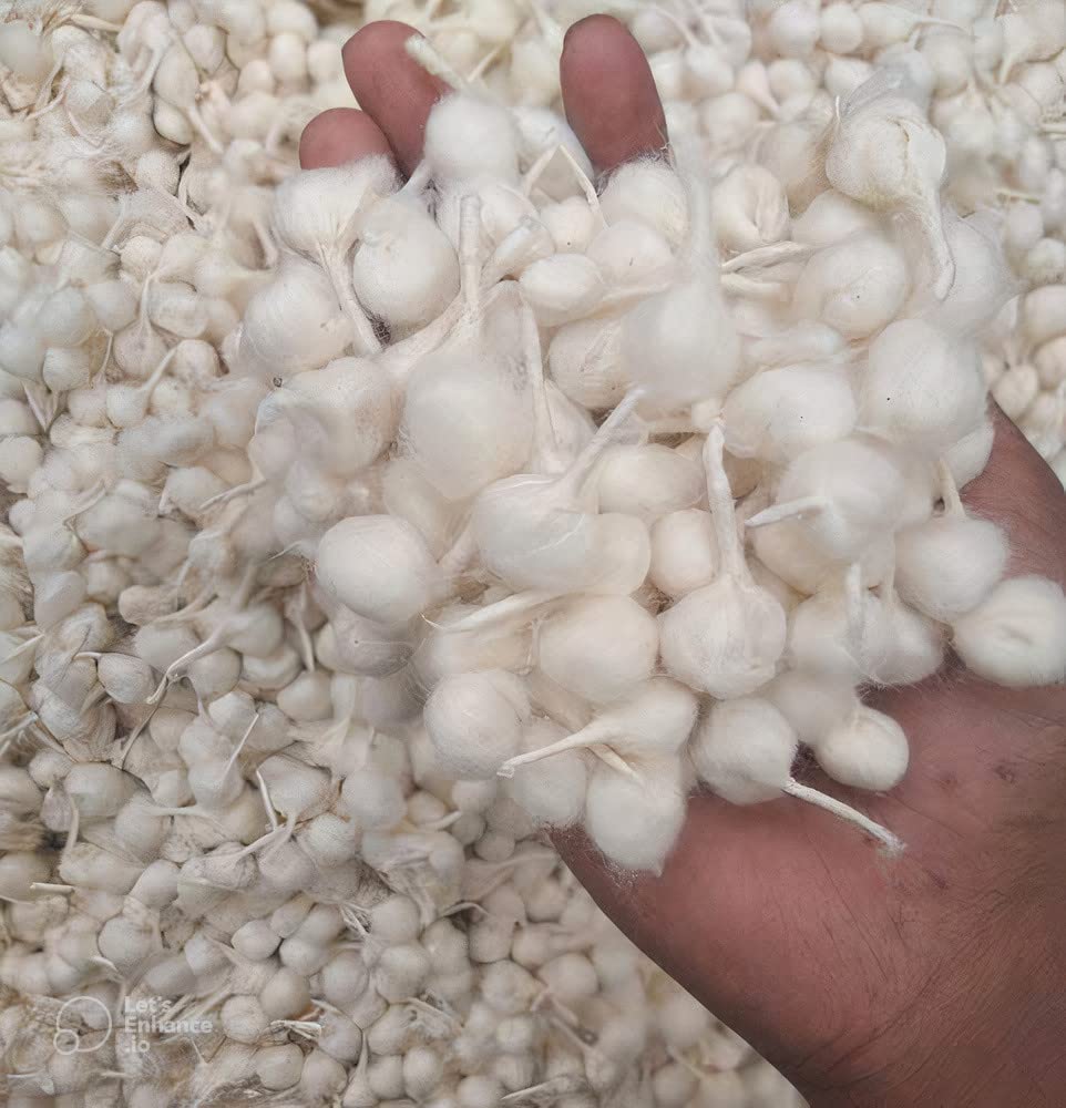 RK Trends Hand Made Phool Baati/White Cotton Phool Diya Batti (Wicks) / Diya Batti for Puja (Wicks) / Jot batti for Pooja/jyot b