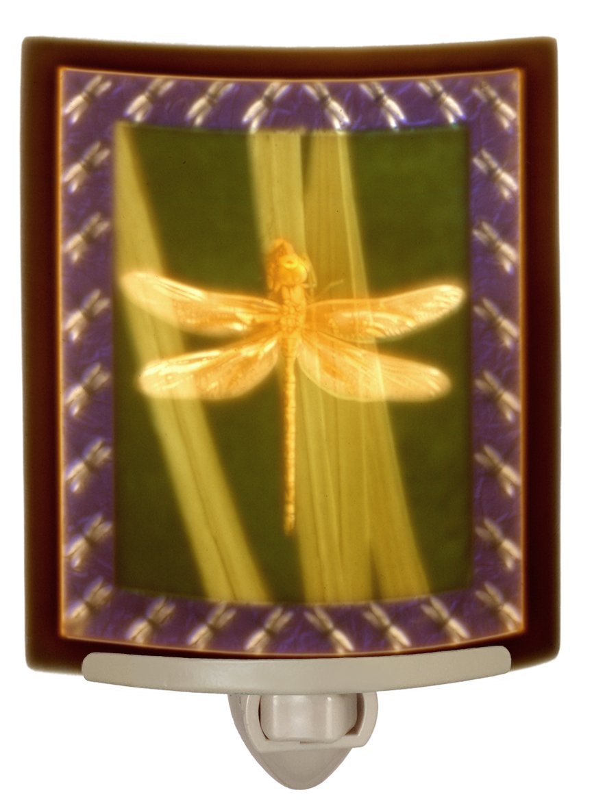 The Porcelain Garden Colored Dragonfly - Curved Porcelain Lithophane Night Light, Decorative Wall Plug In Nursery, Bedroom Kitch