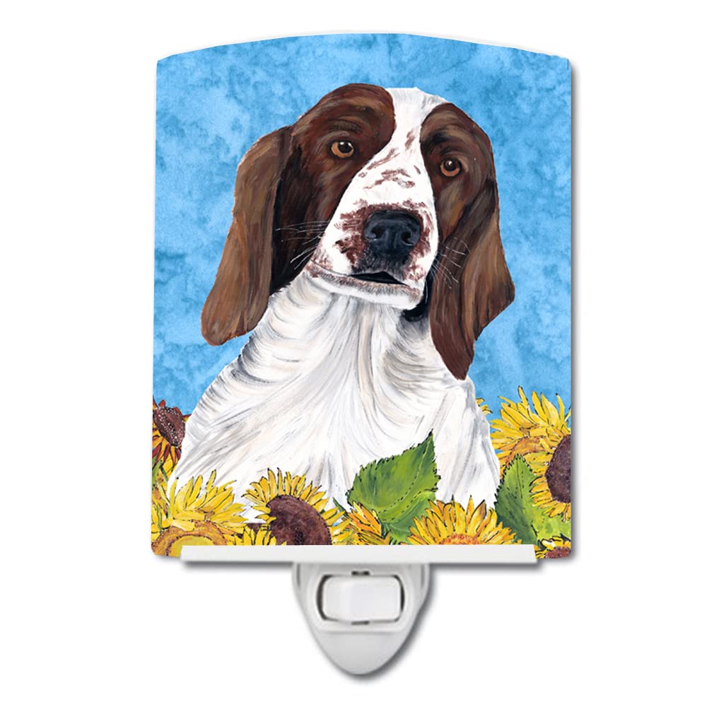 Carolines Treasures Ceramic Night Light, Welsh Springer Spaniel, Model SC9078CNL, 6x4x3 inches, Ideal for Bedroom, Bathroom, Multicolor