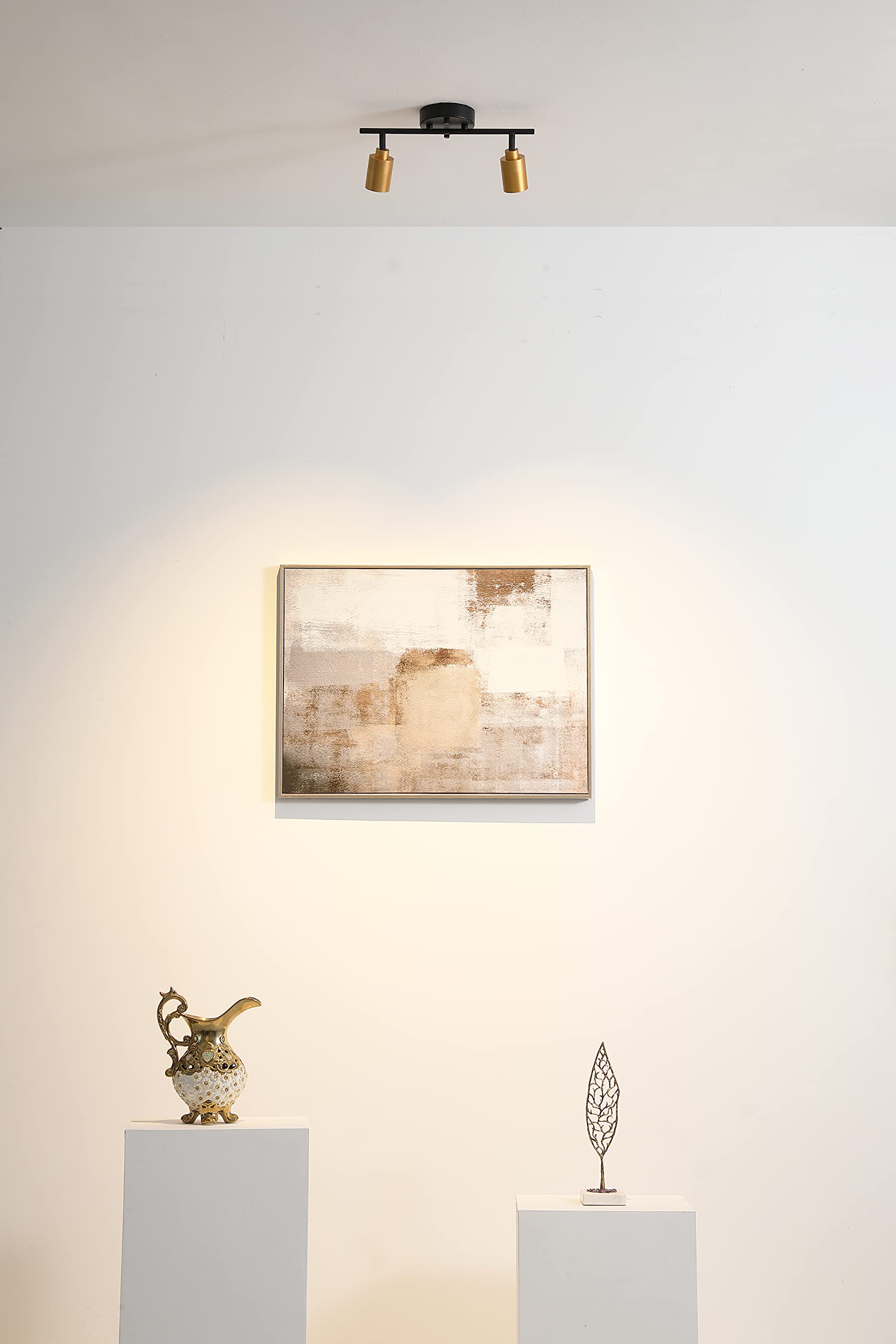 Shura Black & Brass 2-Light Track Light With Adjustable Heads, Integrated Led Bulbs, 15 In. Track Lighting Kit Ceiling Light, 30