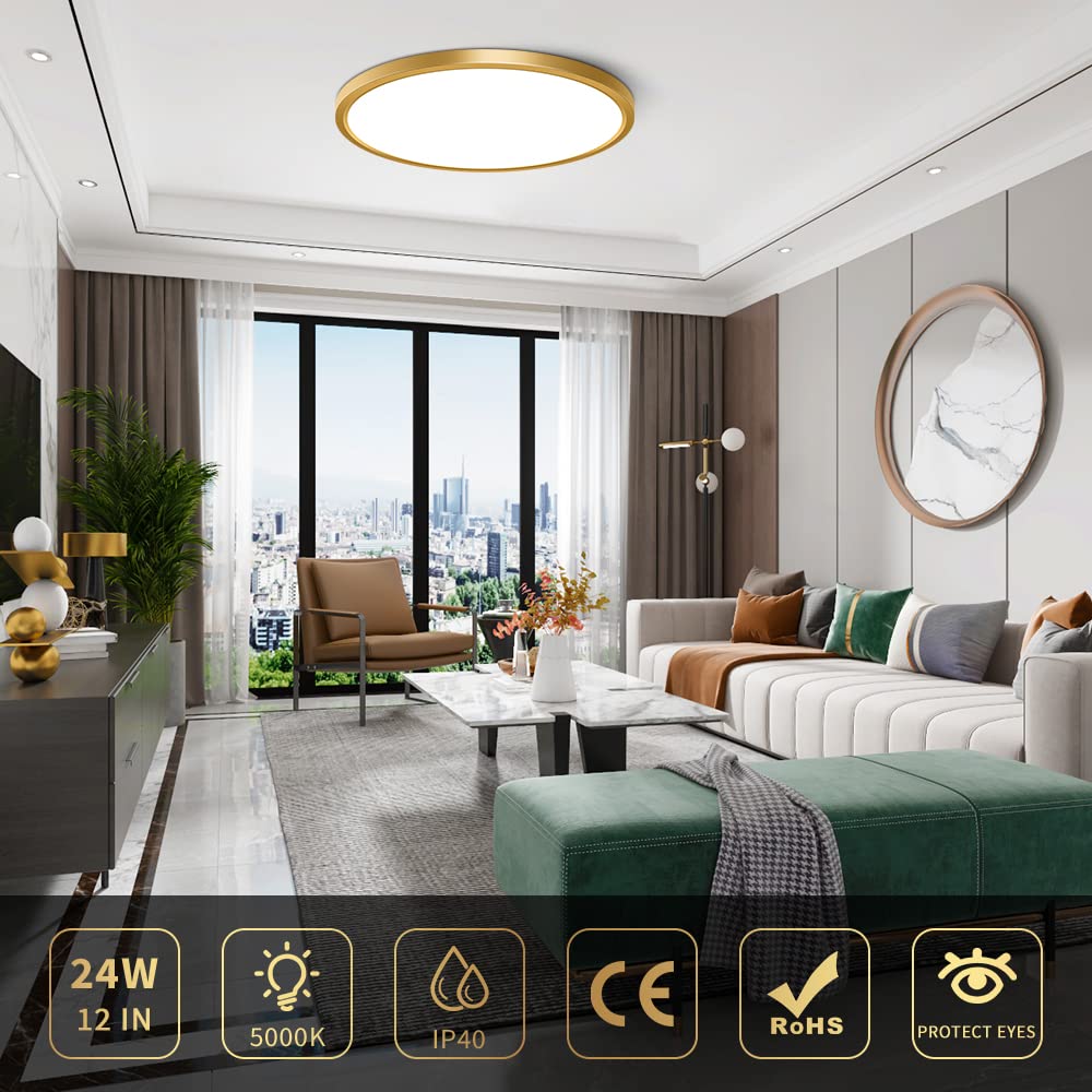 12Inch Ceiling Light Fixture Flush Mount Led, 24W(240W Equivalent), 3200Lm, 5000K Daylight White, Ip40, Flat Modern Round Ceiling Lights For Bedrooms, Living Rooms, Bathrooms, Stairwells, Etc.(Gold)