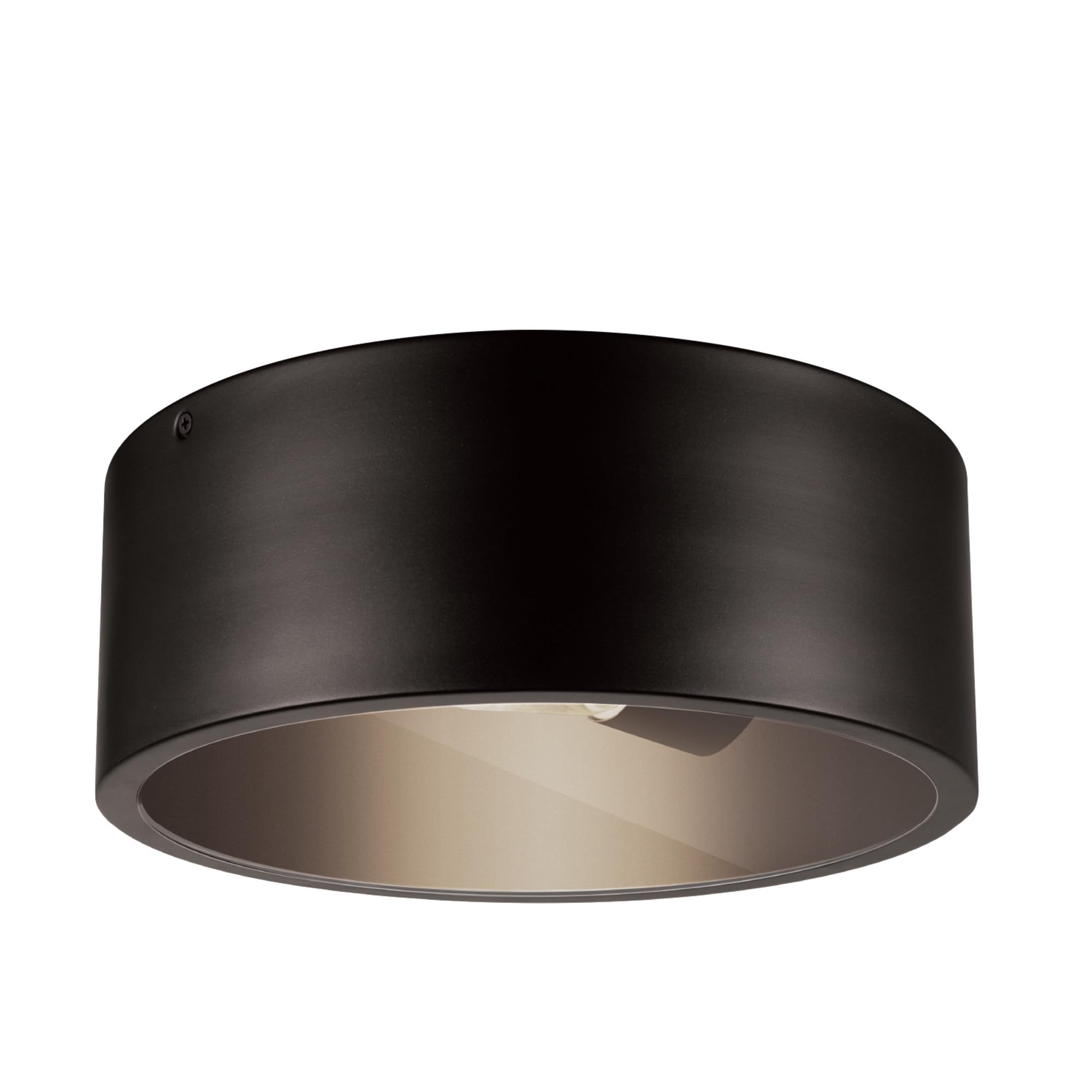 Globe Electric Teagan 1-Light Flush Mount Ceiling Light, Dark Bronze, Clear Glass Shade, Model 44479